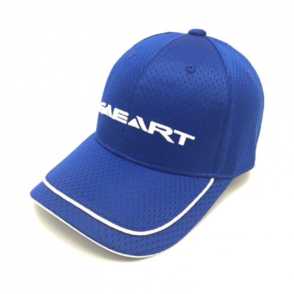 【超美品】キャスコ キャップ ブルー×白 メッシュ 立体ロゴ FREE   ゴルフウェア Kasco